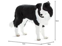 Mojo farmland border collie 387203 - thumbnail