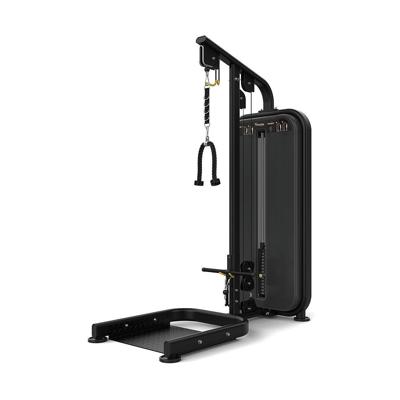 Vision Fitness biceps/triceps Vision Fitness biceps/triceps