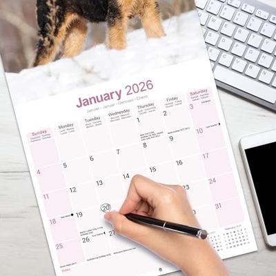 Airdale Calendar 2026 Square Dog Breed Wall Calendar - 16 Month