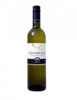 Quercus Rebula - thumbnail