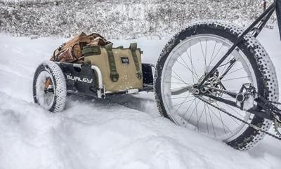 Burley Kard bur wielset 16"