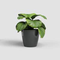 Pentola - ARTEVASI - SAN REMO - 30 br - Antracite - thumbnail