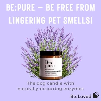 Beloved pure candle kaars