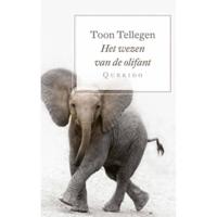 Het wezen van de olifant - thumbnail