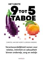 Het grote 9-tot-5-taboe - Christel van der Horst, Jeroen Hindriks - ebook - thumbnail