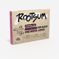 Aaltjes tegen taxuskever 10 m² | KRAUNEMA - thumbnail