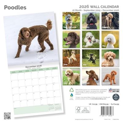 Poedel Kalender 2026 Poedel Kalender 2026
