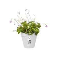 Elho Loft Urban verticaal tuinieren bloempot 15x14 cm wit - thumbnail