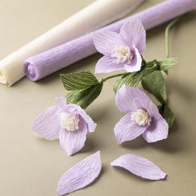 Creativ Company Crêpepapier, vel 25x60 cm, crêpe-verhouding: 180%, 105 gr, blauw/groen harmonie, 8 vel/ 1 doos