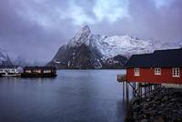 Tamron 35mm F/2.8 DI III OSD 1/2 Macro Sony FE - thumbnail