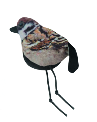 Wild Life Cat Sparrow (Mus)