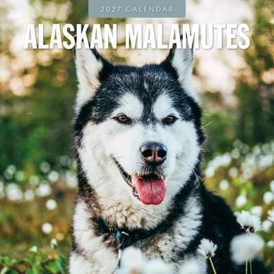 Alaskan Malamute Kalender 2027 Alaskan Malamute Kalender 2027