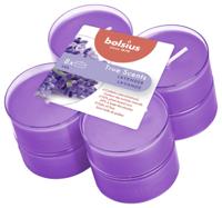 Bolsius maxilicht true scents lavender 8 stuks - thumbnail