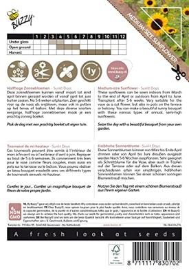 Colourful Bouquets Sunlit Days (Zonnebloemen halfhoog) zaden Buzzy - Buzzy Colourful Bouquets Sunlit Days (Zonnebloemen halfhoog) zaden Buzzy - Buzzy