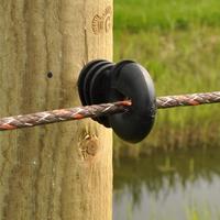 Gallagher Schroef-ringisolator BS hout klein (25) - 004089 004089 - thumbnail