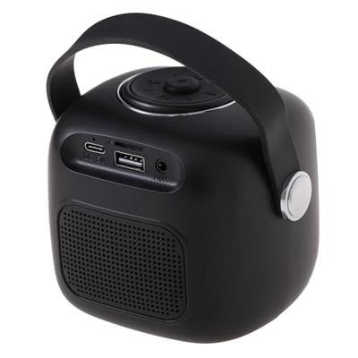 Adler AD 1199 zwarte karaokeluidspreker met microfoon - SD/USB/AUX/Bluetooth
