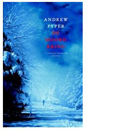 De moordkring - Andrew Pyper - ebook