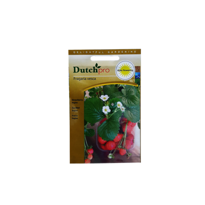 Dutch Pro Dutch Pro - Aardbei Regina