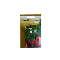 Dutch Pro Dutch Pro - Aardbei Regina - thumbnail