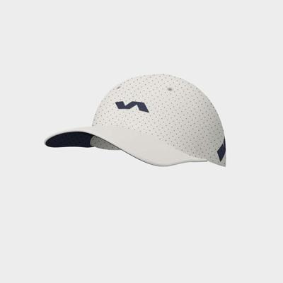VARLION CORPORATE CAP