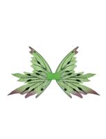 Vleugels Tinkerbell - thumbnail