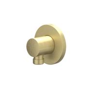 Wanduitlaat IVY 1/2 Geborsteld Mat Goud PVD - thumbnail