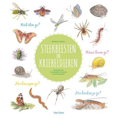 Steekbeesten en kriebeldieren Steekbeesten en kriebeldieren
