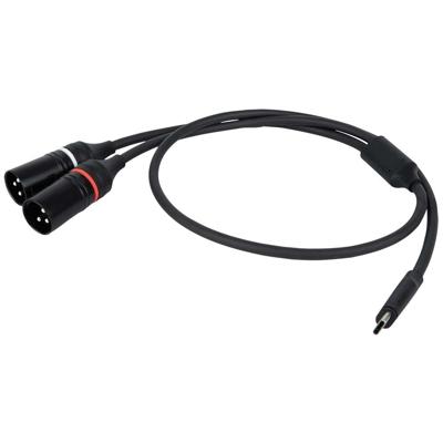 DAP FL112 verloopkabel USB-C naar 2x XLR male 3-polig 75cm