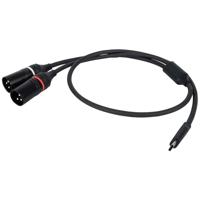 DAP FL112 verloopkabel USB-C naar 2x XLR male 3-polig 75cm - thumbnail