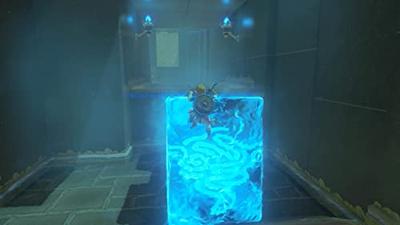 The Legend of Zelda Breath of the Wild