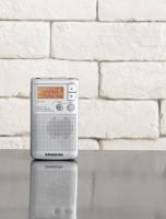 Radio Sangean DT250S Zilverkleurig - thumbnail