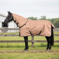 VidaXL Paardendeken cappuccino 125 cm polyester - thumbnail
