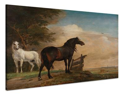 Schilderij - Paulus Potter, Twee paarden in de wei bij een hek, 1649, reproductie, 60x80cm