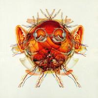 Schematic - CD (5016958057527) - thumbnail