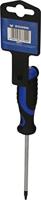Brilliant Tools BT034906 Torx-schroevendraaier Grootte T 15 Koplengte: 100 mm 1 stuk(s) - thumbnail