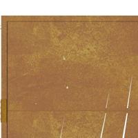 VidaXL Poort grasontwerp 105x205 cm cortenstaal - thumbnail