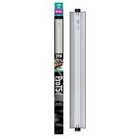 Pro t5 set forest 6% uvb 39 watt Arcadia Aquadistri - Aquadistri - thumbnail