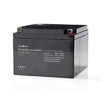 Oplaadbare Loodaccu - Lead-Acid - Oplaadbaar - 12 V - 26000 mAh