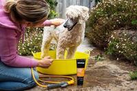 Animology Curly Coat Shampoo - thumbnail