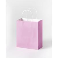 Tas handvat folia kraftpapier 110gr 18x21x8cm 7kl - thumbnail