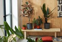 Bloempot Elho Zwart Plastic Ø 30 cm - thumbnail