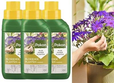 3x Pokon Bloeiende Planten Voeding 250ml 3x Pokon Bloeiende Planten Voeding 250ml