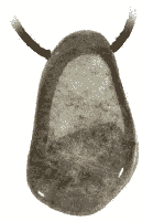 Labradoriet Trommelsteen Hanger Geboord - thumbnail