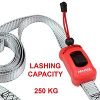 Masterlock Spanband 2,5m x 25mm, veerklem - 3313EURDAT 3313EURDAT - thumbnail