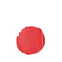 Annemarie Börlind Lip Color 76 Soft Coral 4gr - thumbnail