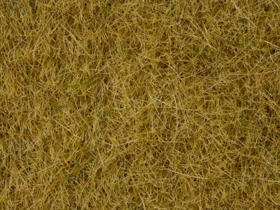 NOCH 07101 Wildgras Beige