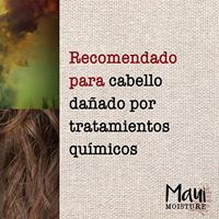 Maui Moisture Conditioner Agave - thumbnail