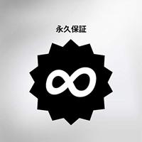 Kingston ValueRAM Werkgeheugenmodule voor PC DDR3L 8 GB 1 x 8 GB Non-ECC 1600 MHz 240-pins DIMM CL11 11-11-35 KVR16LN11/8 - thumbnail