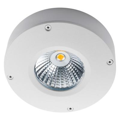 SG Callisto LED opbouw wit 3000K 180 lm dimbaar IP65 IK06