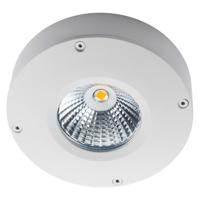 SG Callisto LED opbouw wit 3000K 180 lm dimbaar IP65 IK06 - thumbnail
